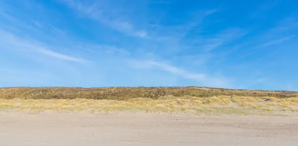 Sand Dunes Coast Nord Sea Netherlands — Fotografia de Stock