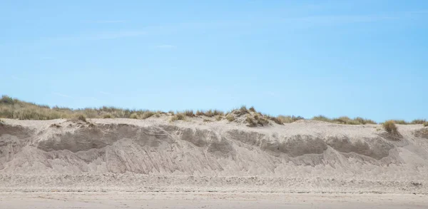荷兰北海沿岸的沙丘 — 图库照片