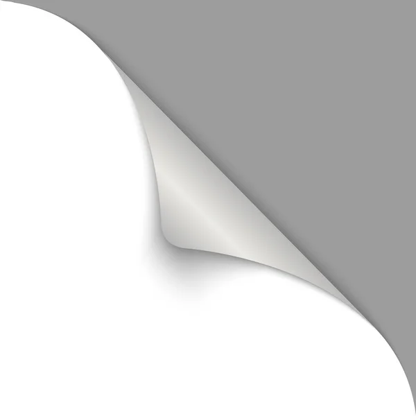 Illustration Vectorielle Bannière Angle Grise Sur Fond Blanc — Image vectorielle
