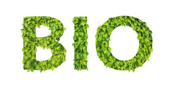 Concept Van Bio Energie Met Gras Achtergrond — Stockfoto