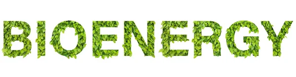Concept Van Bio Energie Met Gras Achtergrond — Stockfoto