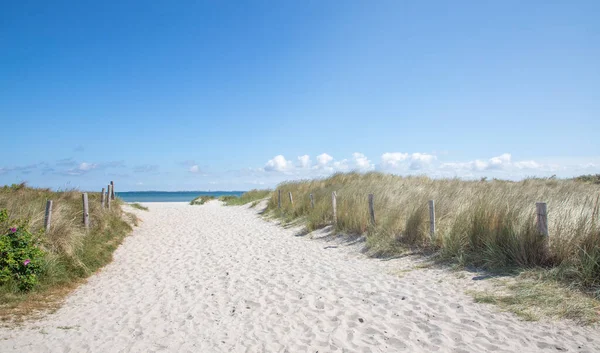 Sentier Dans Les Dunes Sable Sur Mer Baltique — Photo