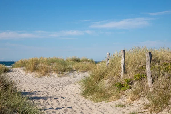 Sentiero Tra Dune Sabbia Sul Mar Baltico — Foto Stock