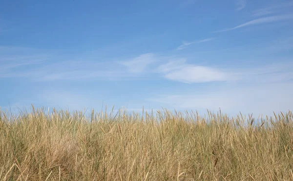 Landscape Baltic Sea Dunes White Clouds Blue Sky Background — Fotografia de Stock