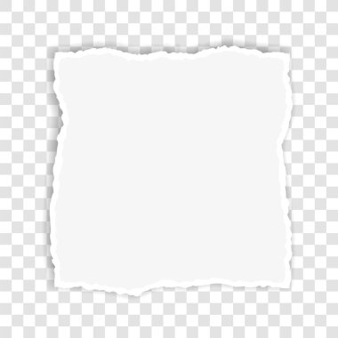 white colored vector torn paper banner with ripped edges with space for your text on transparent background