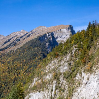 Dağların manzarası - Avusturalya Alpleri