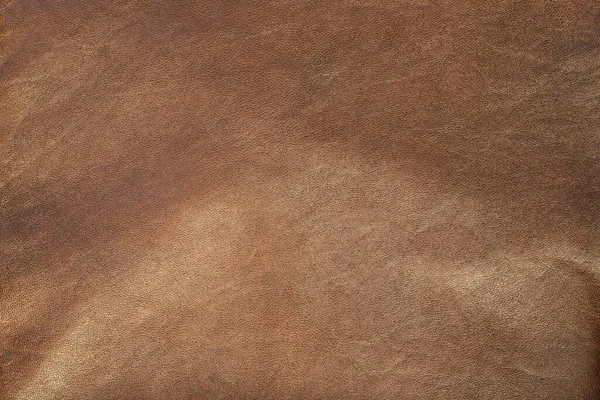 褐色原皮背景的质感 — 图库照片