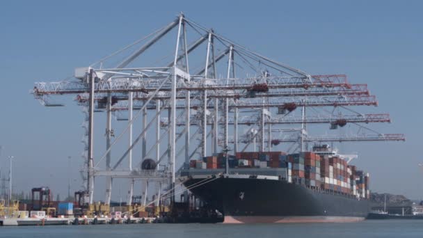 ein großes Containerschiff, das im Hafen von Southampton mit Fracht beladen und entladen wird. aufgenommen mit einer fs7-Kamera. alle Logos im Post entfernt.