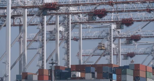 Een Grote Container Schip Worden Geladen Gelost Met Lading Dokken — Stockvideo