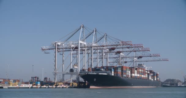 Ein großes Containerschiff wird in den Docks des britischen Hafens von Southampton verladen. (Alle Logos entfernt).