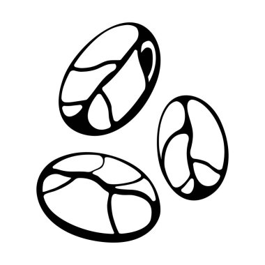 Concept coffee bean flat vector illustration, beverage icon isolated on white, energy drink.