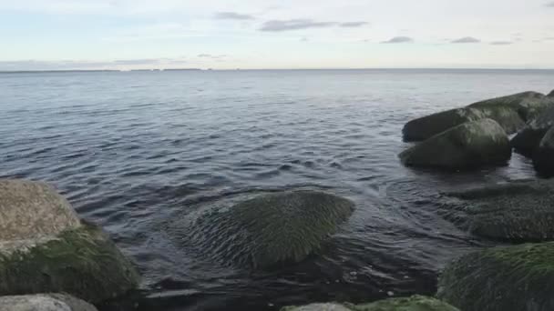 Les vagues d'eau sur les rochers dans l'océan — Video