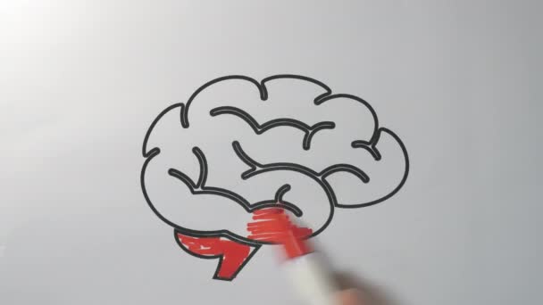 En animation av hjärnan fylld med färg röd — Stockvideo