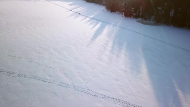 Widok z lotu ptaka na teren narciarski w Finlandii — Wideo stockowe