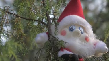 Rovaniemi 'deki ağacın dalının tepesindeki cüce elf oyuncağı.