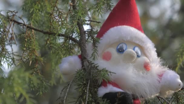 Gnome elf zabawka na szczycie gałęzi drzewa w Rovaniemi Finland.4k — Wideo stockowe