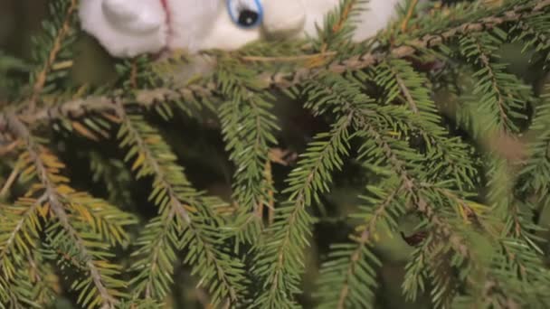 Rovaniemi Finland.4kの松の木のかわいい小さなノームのおもちゃ — ストック動画