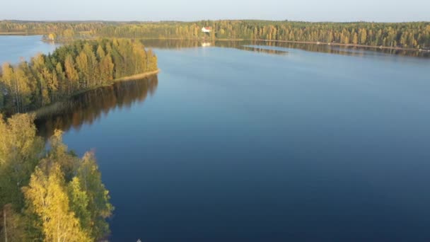 Vzdušný výhled na stromy na boku obrovského jezera Saimaa ve Finsku. — Stock video