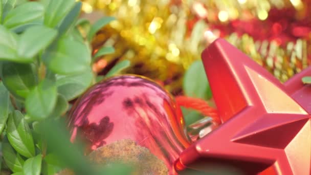 Noel süslemelerinin yanındaki yeşil otlar — Stok video