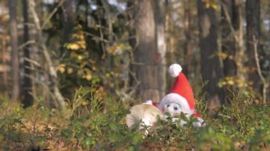 Rovaniemi Finland4k 'teki kırmızı şapkalı elf oyuncağına yakından bakın.