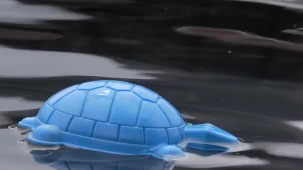 Primo piano di una tartaruga giocattolo che galleggia sull'acqua. — Video Stock