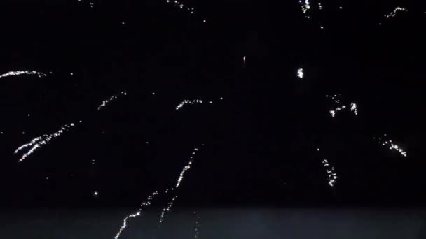 Le strisce bianche dei fuochi d'artificio di notte a Tallinn Estonia.4K — Video Stock