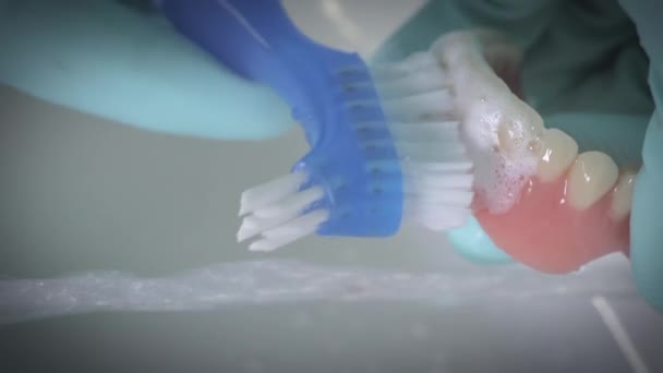 Closeup shot of dentures being washed under running water using a brush. — Stock Footage Closeup shot of dentures being washed under running water using a brush. Stock Video