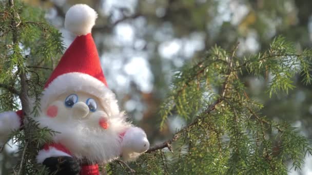 Big eyed gnome elf zabawka na szczycie drzewa w Rovaniemi Finland.4k — Wideo stockowe