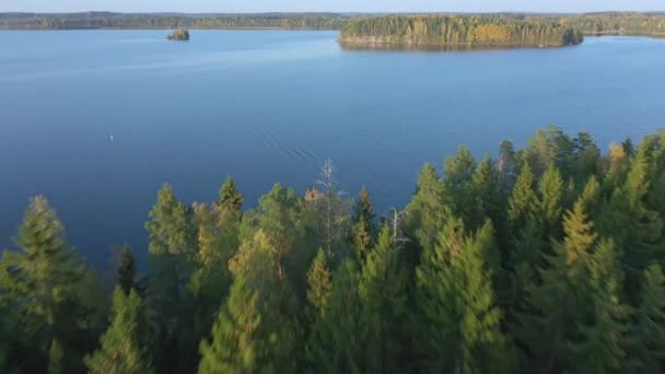 Der Blick auf den Saimaa-See mit den hohen Bäumen auf den Inseln. — Stockvideo
