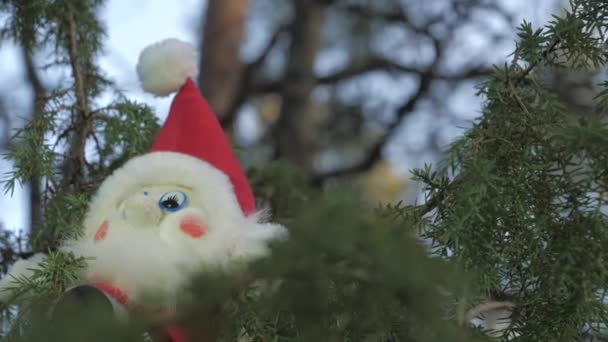 ロヴァニエミ・フィンランドのおもちゃの人形と松の木。 4k — ストック動画