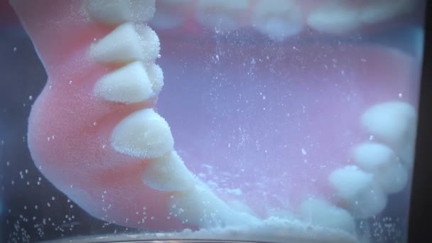 Closeup shot of artificial teeth being cleaned by a dissolving cleaning tablet. — Stock Video