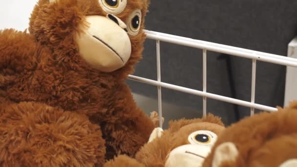 Ta opičí hračka uvnitř koše — Stock video