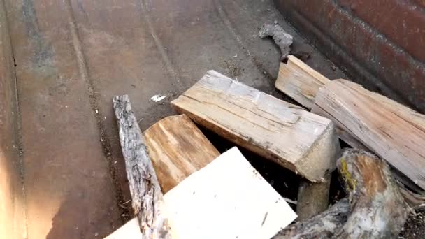 Las pequeñas chimeneas cortadas tiradas al suelo en Estonia — Vídeo de stock