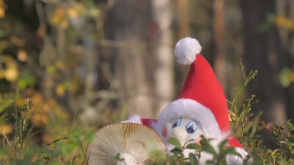 Biały grzyb obok lalki czerwonego krasnala elfa w Rovaniemi Finland.4k — Wideo stockowe
