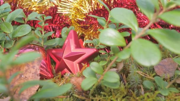 Η όψη των χριστουγεννιάτικων διακοσμήσεων στο δασικό έδαφος — Αρχείο Βίντεο