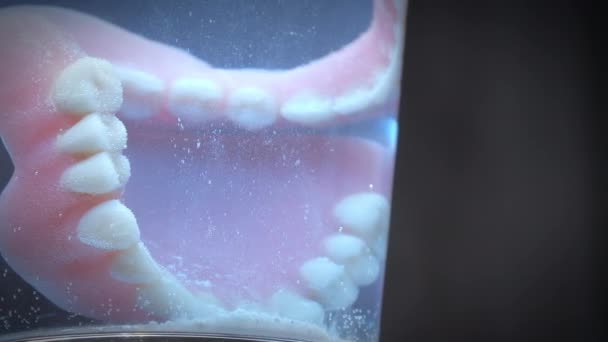Temizlik sıvısıyla dolu bir bardakta yapay dişlerin yakın plan çekimi.. — Stok video