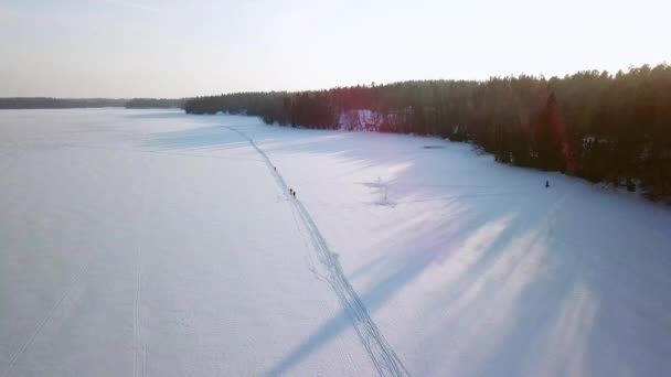 フィンランドの厚い白い雪に覆われた森の地面の景色 — ストック動画