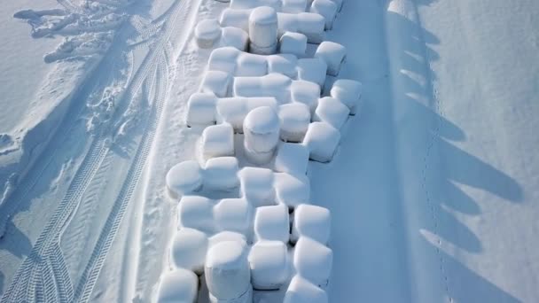 Повітряний вид на сіна на землі у Фінляндії. — стокове відео