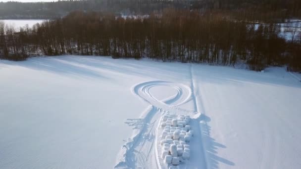 La vista aerea del campo con il rotolo di fieno a terra — Video Stock