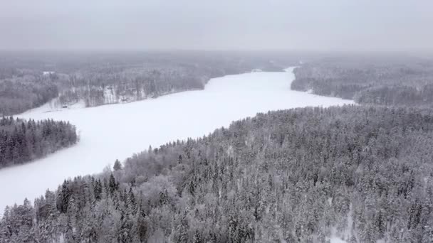 フィンランドの雪の森の牧歌的な空撮. — ストック動画
