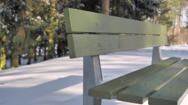 Крупный план зеленой скамейки в парке в солнечный день. — стоковое видео