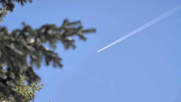 Beautiful shot of a plane flying on a sunny day. — Video Stock