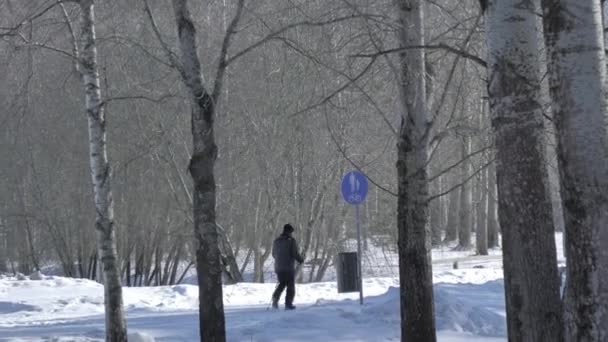 Όμορφη φωτογραφία του σκανδιναβικού περπατήματος σε ένα χιονισμένο πάρκο κατά τη διάρκεια του χειμώνα. — Αρχείο Βίντεο