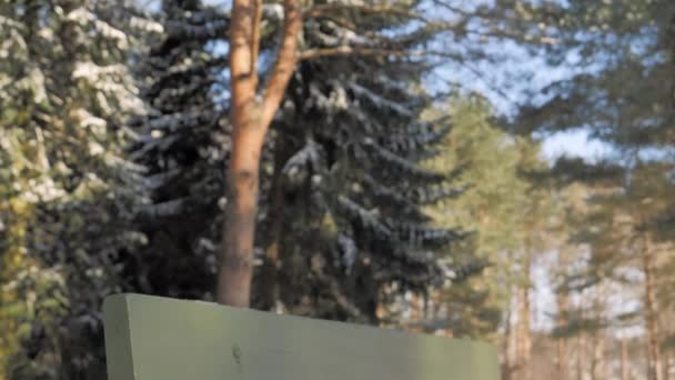 Close-up opname van een bankje in een park op een zonnige dag in de winter. — Stockvideo