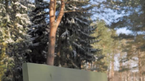 Primer plano de un banco en un parque en un día soleado durante el invierno. — Vídeos de Stock