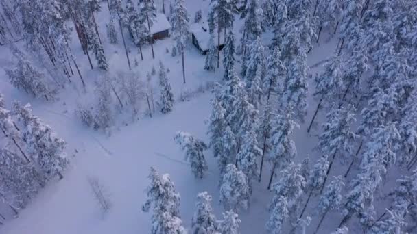 Gyönyörű légi felvétel a hagyományos finn házak egy erdőben télen. — Stock videók