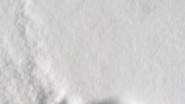 Крупним планом знімок ходьби через сніг . — стокове відео