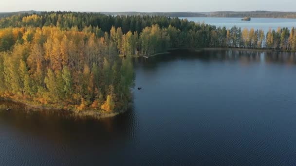 The landscape view of the trees on the side of Lake Saimaa in Finland. — Vídeo de Stock