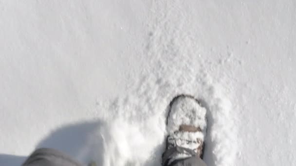 Closer shot of walking through snow on a sunny day. — Αρχείο Βίντεο