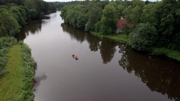 Widok z lotu ptaka na wysokie zielone drzewa po stronie rzeki w Estonii — Wideo stockowe